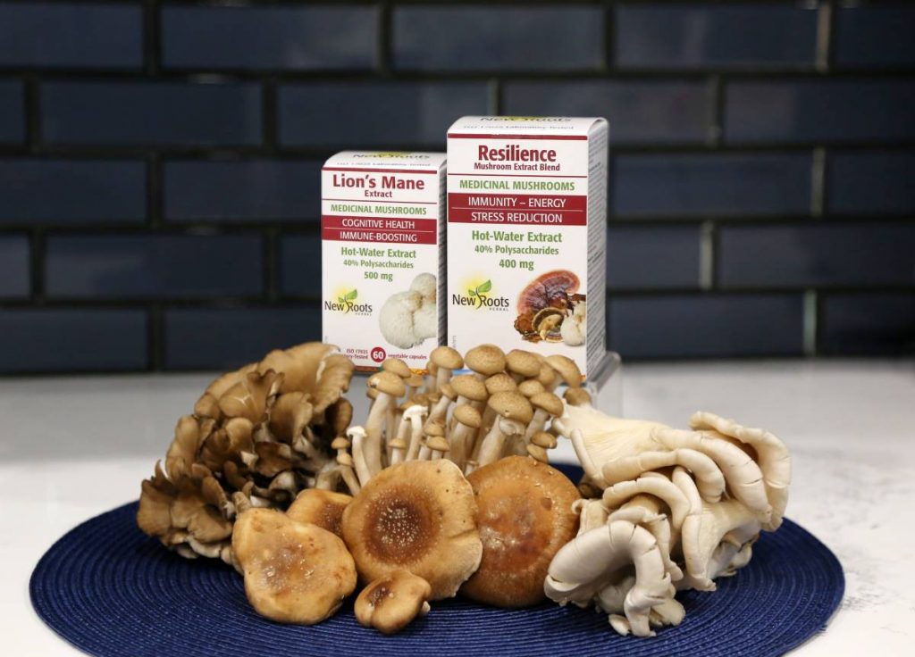 mushrooms new roots herbal 1